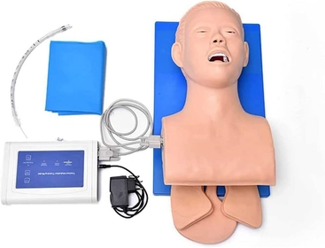 Anatomy Model Human Model Intubation Manikin Study Teaching Model, Intubation Manikin Study PVC Model Demonstration Training Airway Teaching Model Skeleton Model