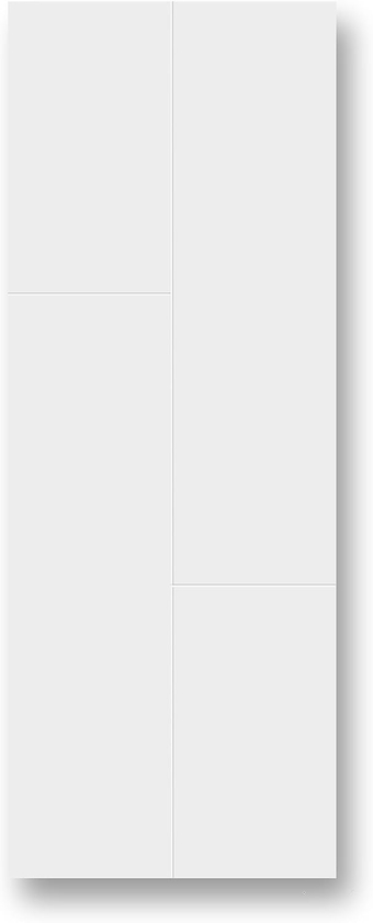 A200 2FH1FV Solid Panel Interior  | Pocket Closet Sliding - White Matte (24x80)