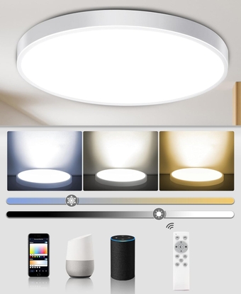 Smart Ceiling Light Fixture Flush Mount LED Compatible with Alexa Google Home for Bedroom Living Room Hallway Bathroom Kitchen Dimmable Remote Control Low Profile 12 inch 24W Round