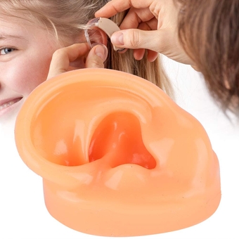 Silicone Left Ear Model, Simulation Display Ear Model Ear Model Human Ear Model Simulation Artificial Human Hearing Aids For Acupuncture Practice Model