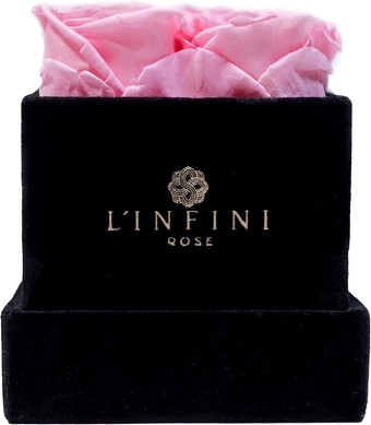 Preserved s in A Box | Real Pink s That Last for Years | Gifts for Her - Wife, Mom, Sister| Valentine's Day, Anniversary, Birthday, Mother's Day and Birthdays