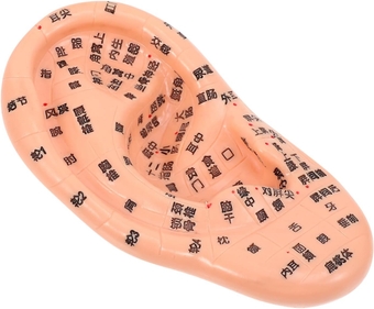 1pc Massage Ear Model Left Human Ear Model Medical Acupuncture Ear Model Ear Massager Tool Laboratory Supplies Ear Acupuncture Model Maniquin Ear Kit Artificial Ear 3D PVC