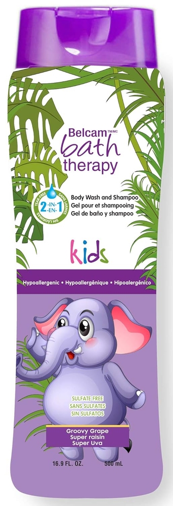 Kids 2-in-1 Body Wash and Shampoo, Groovy Grape, 16.9 Fl Oz, Clear (F52020A)
