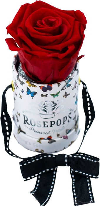Pop-Up Single Preserved Real Rose - Scented Bloom Lasts One Year or Longer - Round Butterfly Box (Cherry Crush Rose)