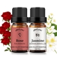 Rose+Jasmine