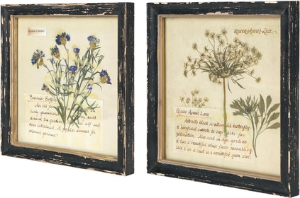 Botanical Wall Art Set of 2, Vintage Botanical Prints Wooden Framed Floral Plant Pictures Poster Decor for Bathroom Bedroom Living Room Office, 10x10 Inch
