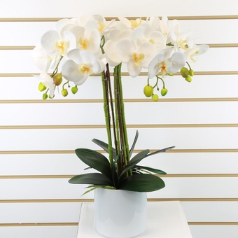 Artificial Flower Bonsai with Ceramic Vase - Vivid Orchid Flowers Arrangement Phalaenopsis Pot for Home Office Décor Table Centerpiece House ations (White-Yellow, 24"x13")