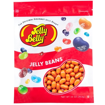 Pumpkin Pie  Beans - 1 Pound (16 Ounces) Resealable Bag - Genuine, Official, Straight from the Source