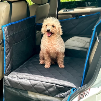 Dog Car Seat for Medium Dogs - Back Seat Extender for Dogs,Large & Small Dog Car Seat Cover for Back Seat, Dog ammock for Car Back Seat Dog Bed Mattress,Pet Car Seat for Car SUV Truck